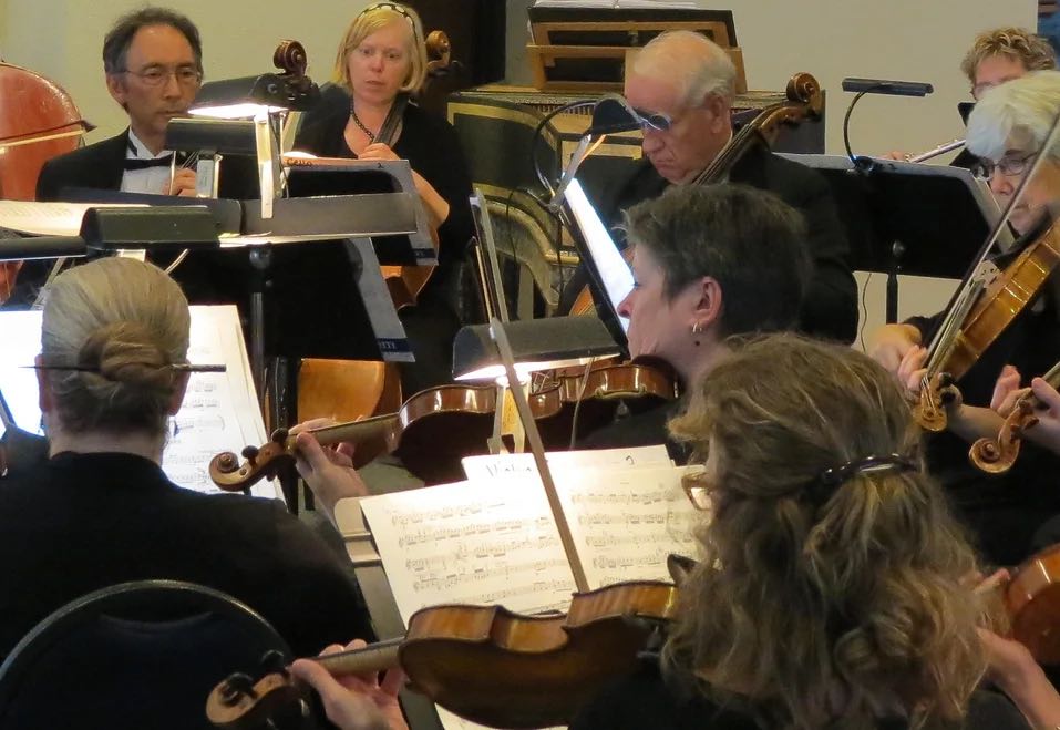 orchestra musicians during a performance