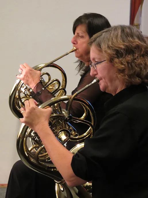 two french horn musicians playing during performance