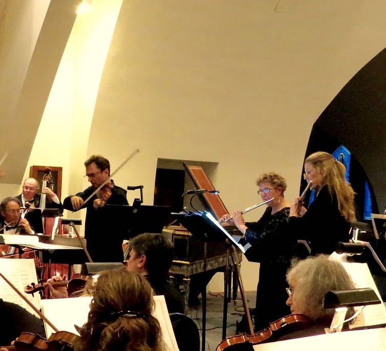 musicians playing in an orchestra